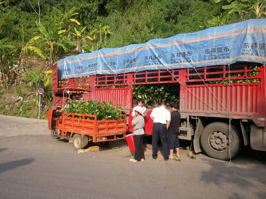 28525